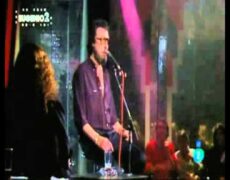 Entrada sin título 15654