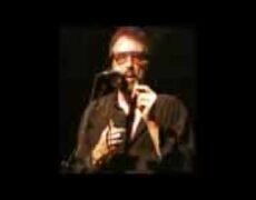 Eugenio Búho: La sabiduría alada